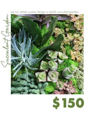 Custom Design Succulent Garden $150