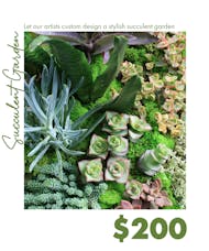 Custom Design Succulent Garden $200