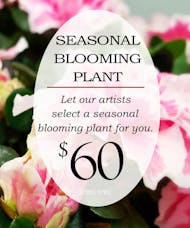 Custom Design Seasonal Blooming Plant