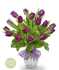 Purple Passion Tulips